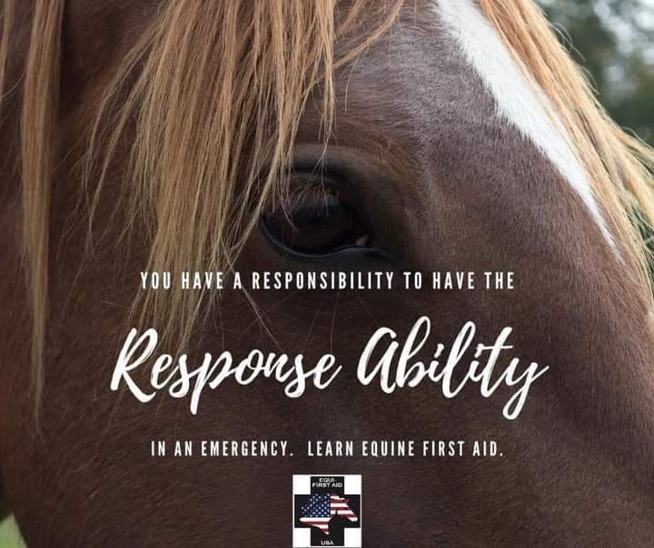 Advanced Equine First Aid-online component