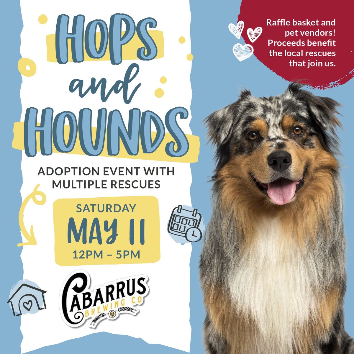 Hops & Hounds? Adoption Event?