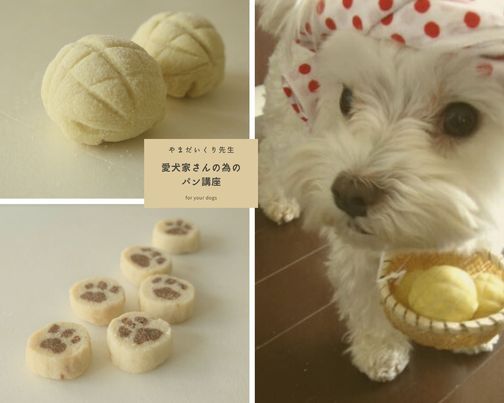 愛犬家さんの為のパン教室 やまだいくり先生 天然酵母 犬のメロンパンと肉球ボーロ 錢屋本舗本館 Osaka 19 April 21 愛犬家さんの為のパン教室 やまだいくり先生 天然酵母 犬のメロンパンと肉球ボーロ 錢屋本舗本館 Osaka 19 April 21