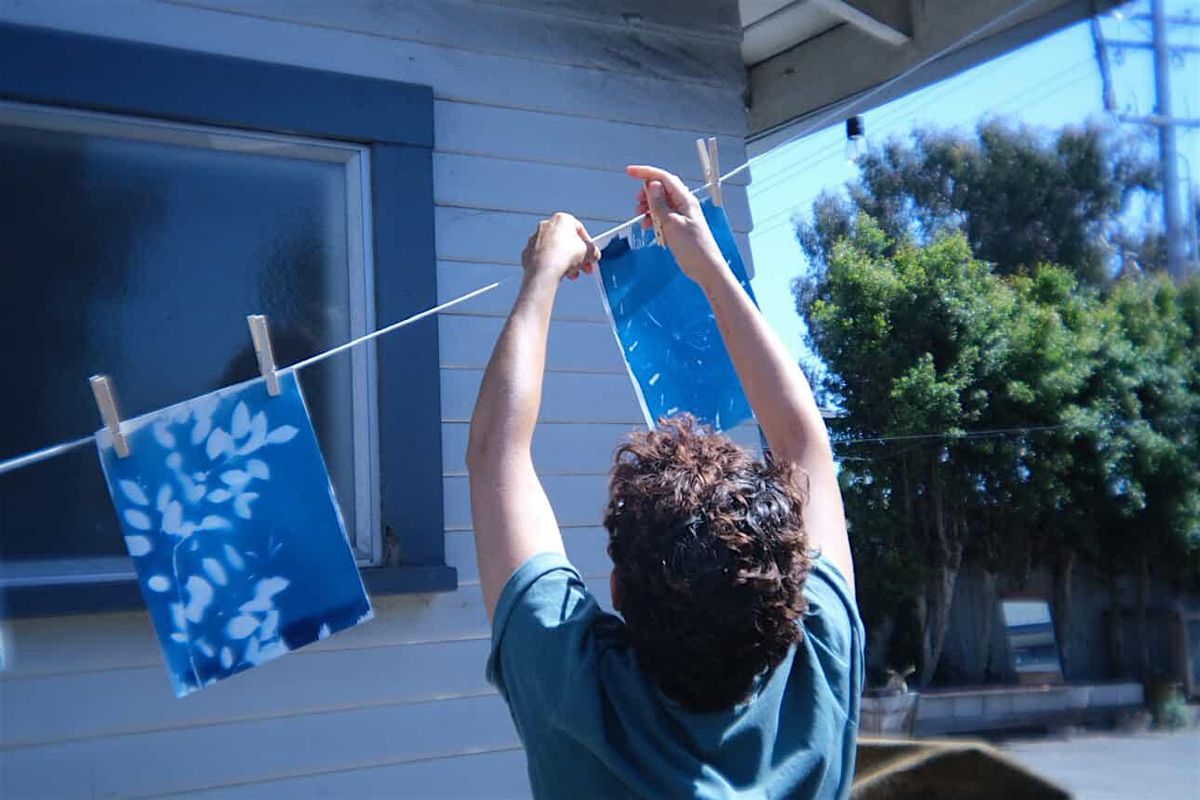 Sun Printing Botanicals w\/ Seaweedstuff