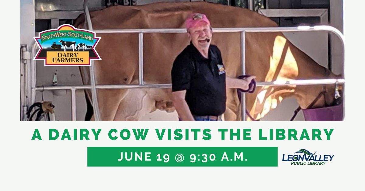 Dairy Cow Visit
