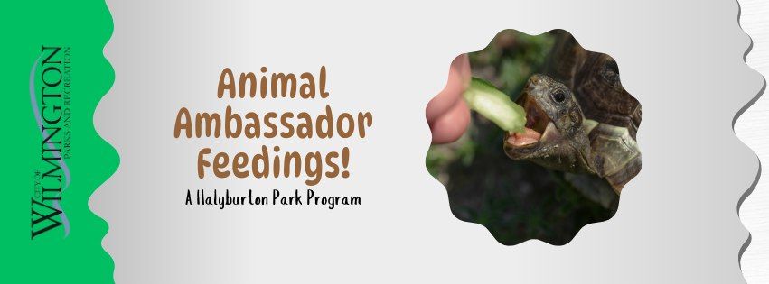 Animal Ambassador Feedings - A Halyburton Park Program!