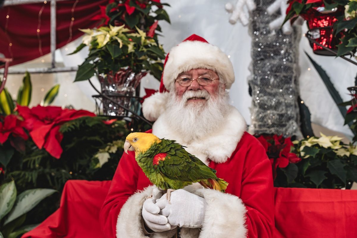 Pet Photos with Santa-FFFF Fundraiser