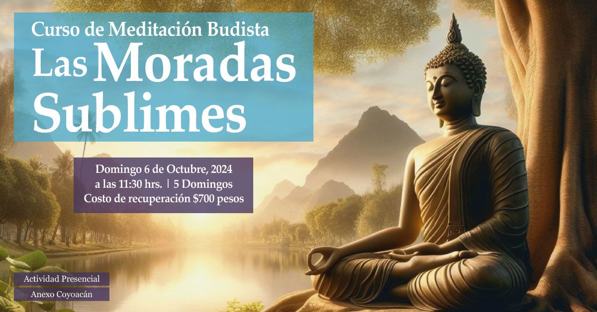 Curso Fundacional en Coyoac\u00e1n: Las Moradas Sublimes