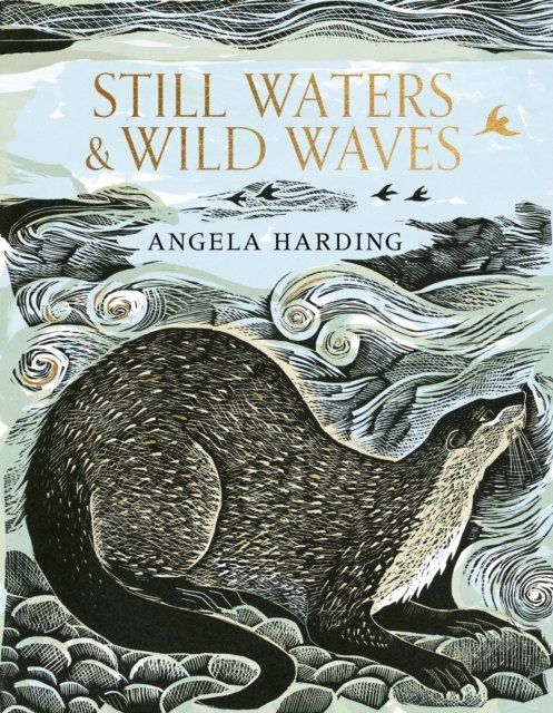 Angela Harding - Still Waters and Wild Waves Launch and Talk