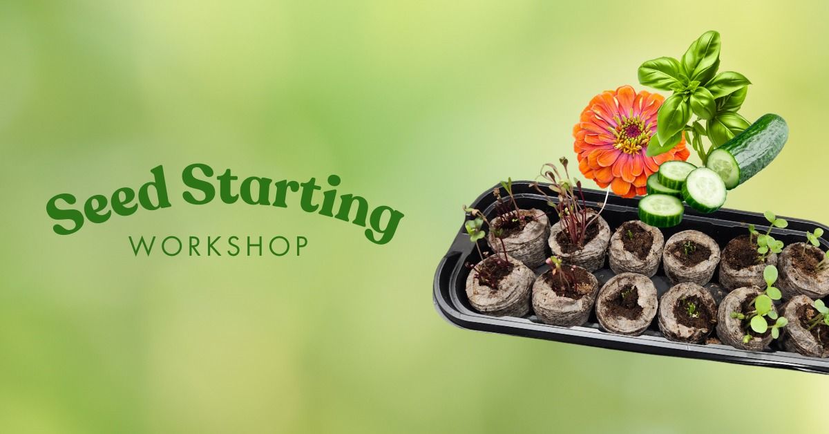 Workshop | Seed Starting 