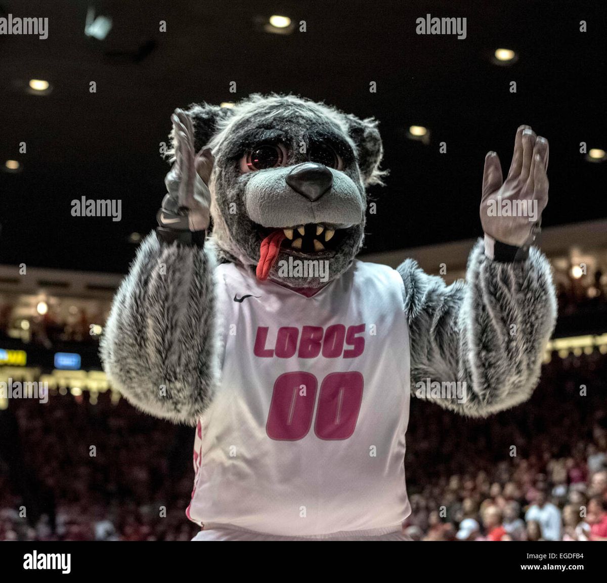 New Mexico Lobos vs. UNLV Rebels