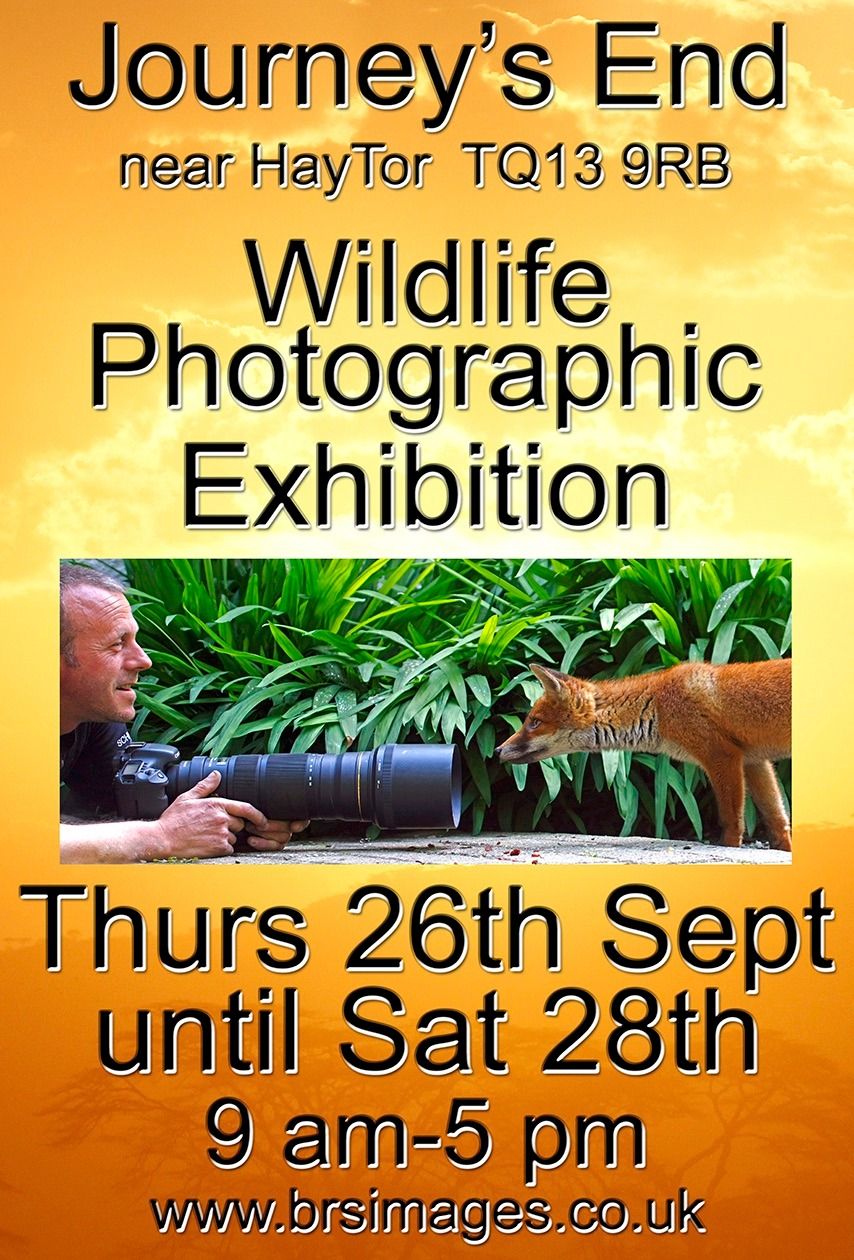 Wildlife Photographic Exhibition 