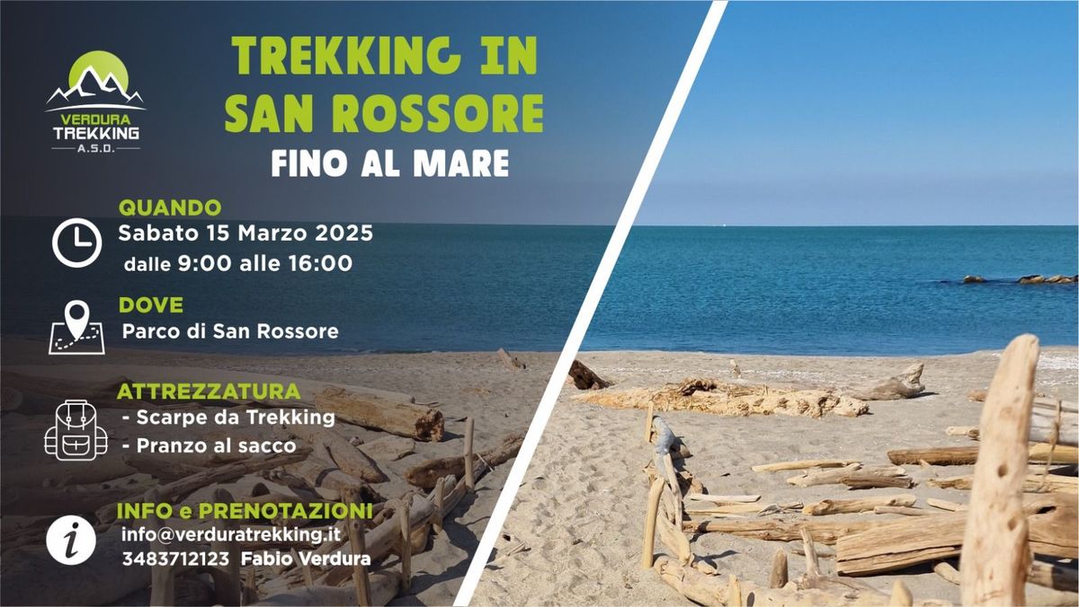 Trekking a San Rossore fino al Mare 