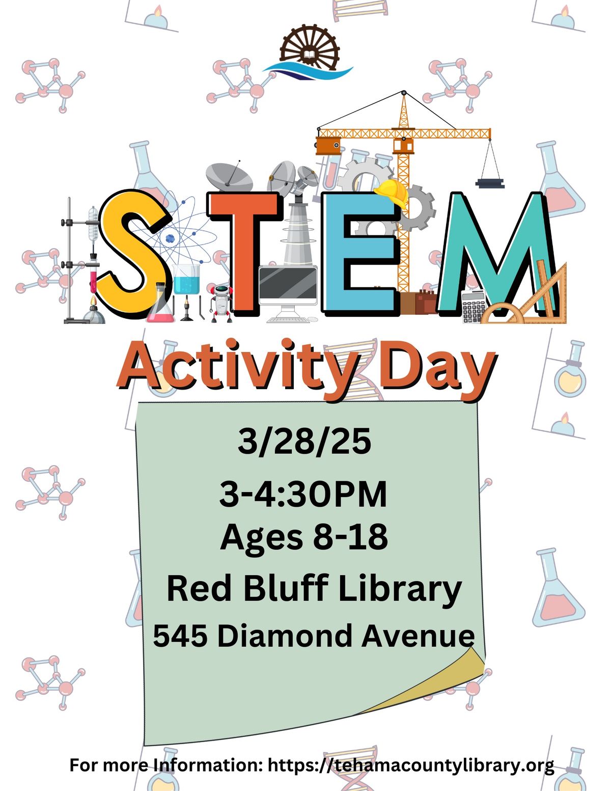 Stem Activity Day