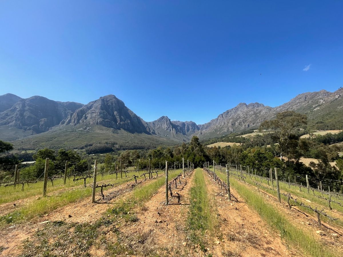 South African Wines Tasting and Wine class with Andy!