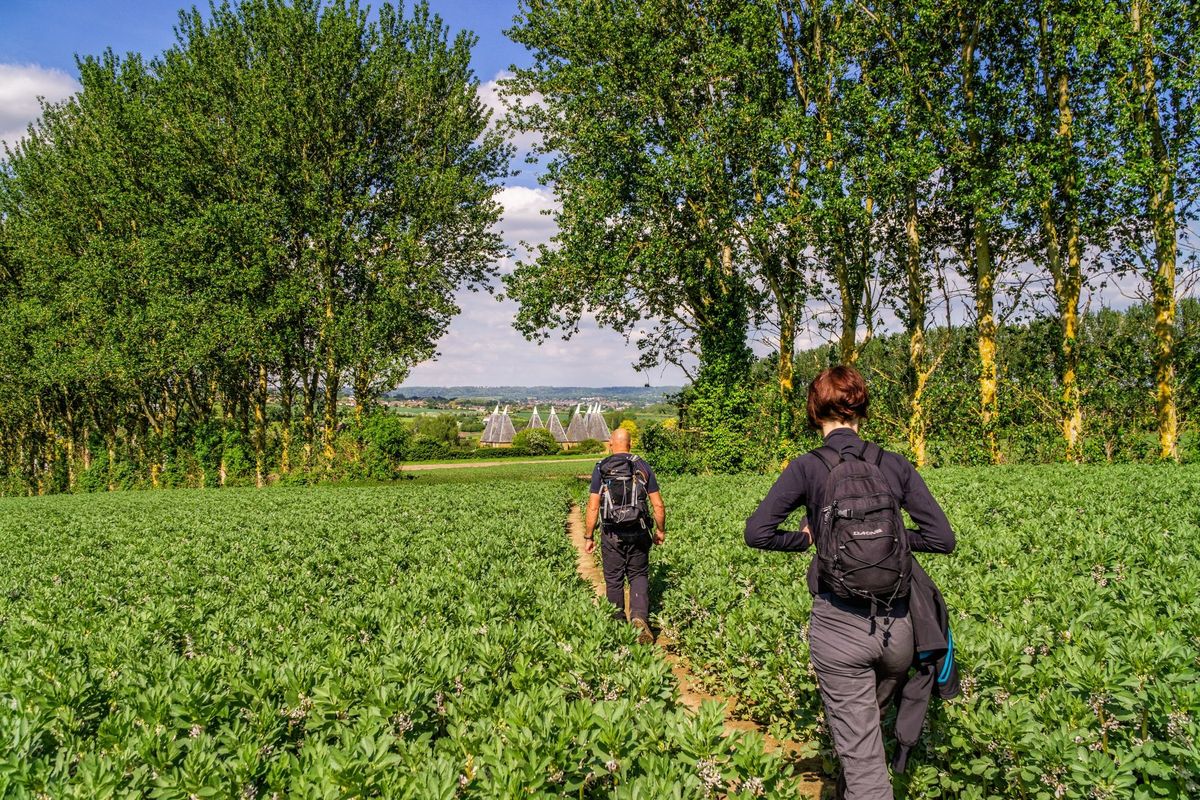 HIKE 21km Medway Valley - a journey through rural scenes and historical gems