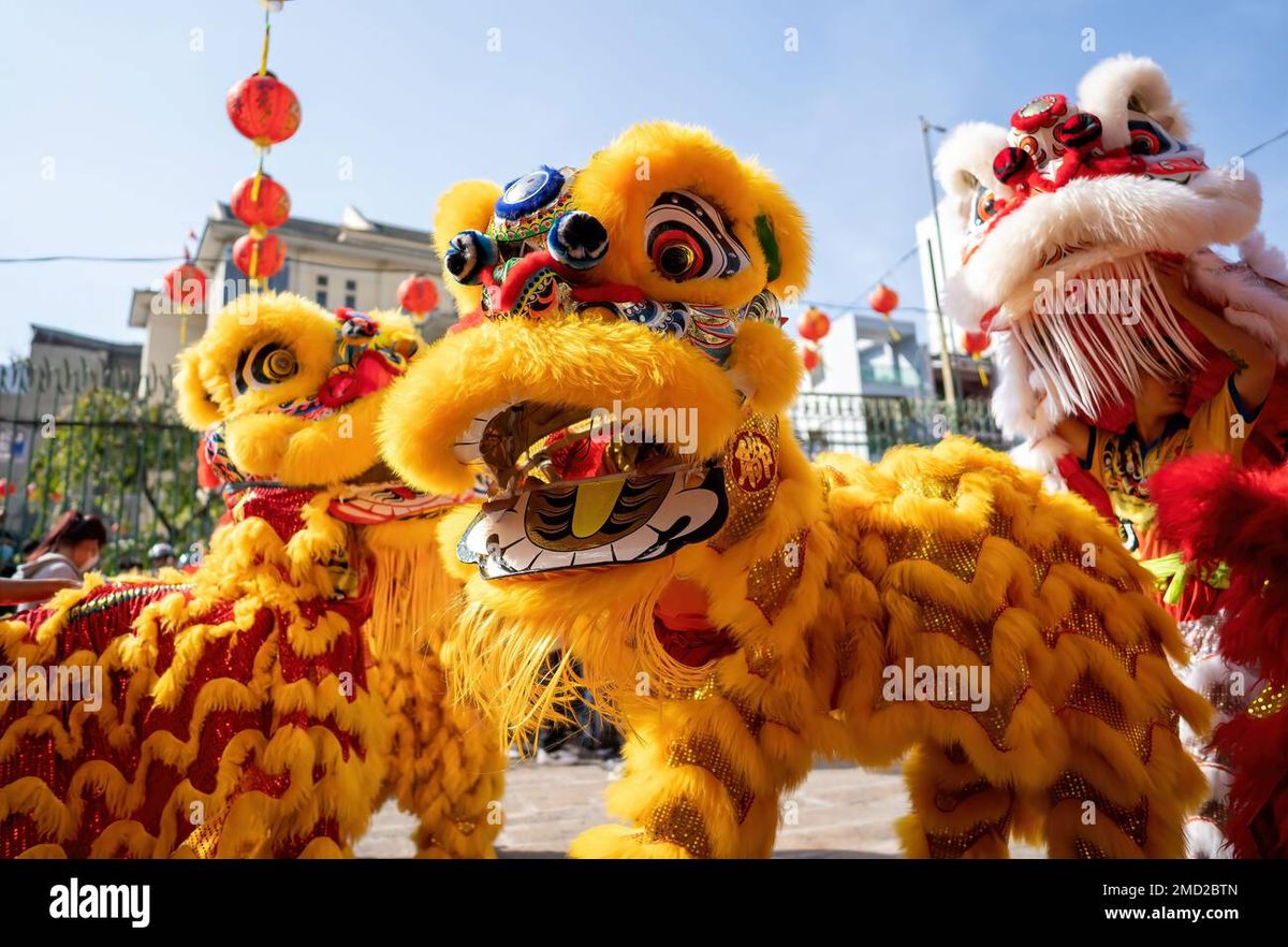 Vietnamese Lunar New Year Show