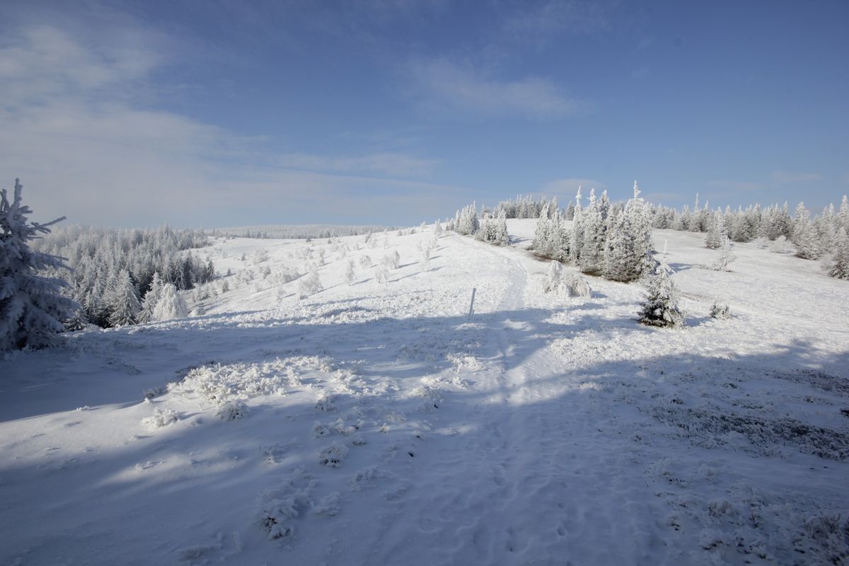 Zdobywamy GOT: Beskid \u015al\u0105ski - Magurka Radziechowska 