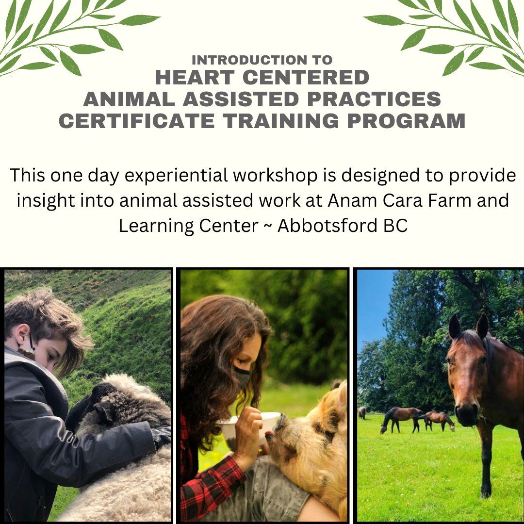 Introduction to Heart Centered Animal Assisted Practices 