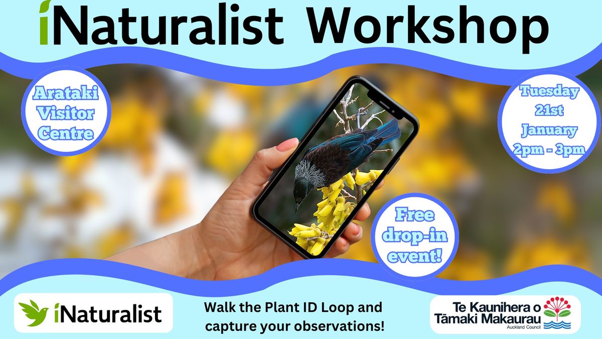 iNaturalist Workshop