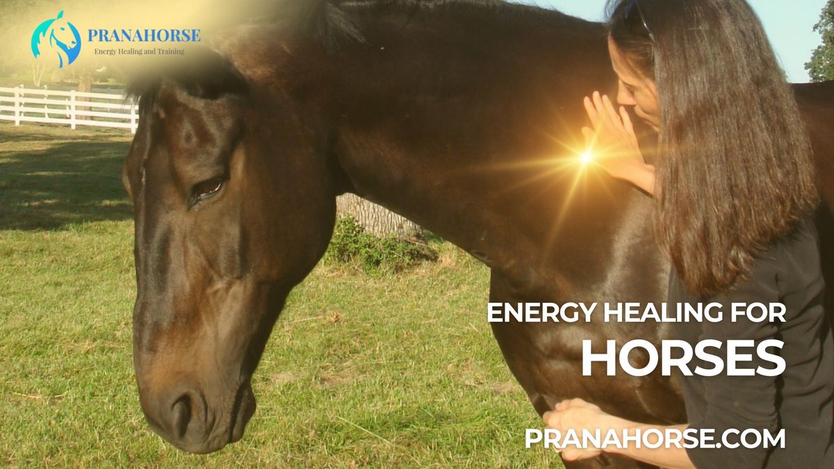 [In Person] Energy Healing for your Horse - Wilsonville, OR
