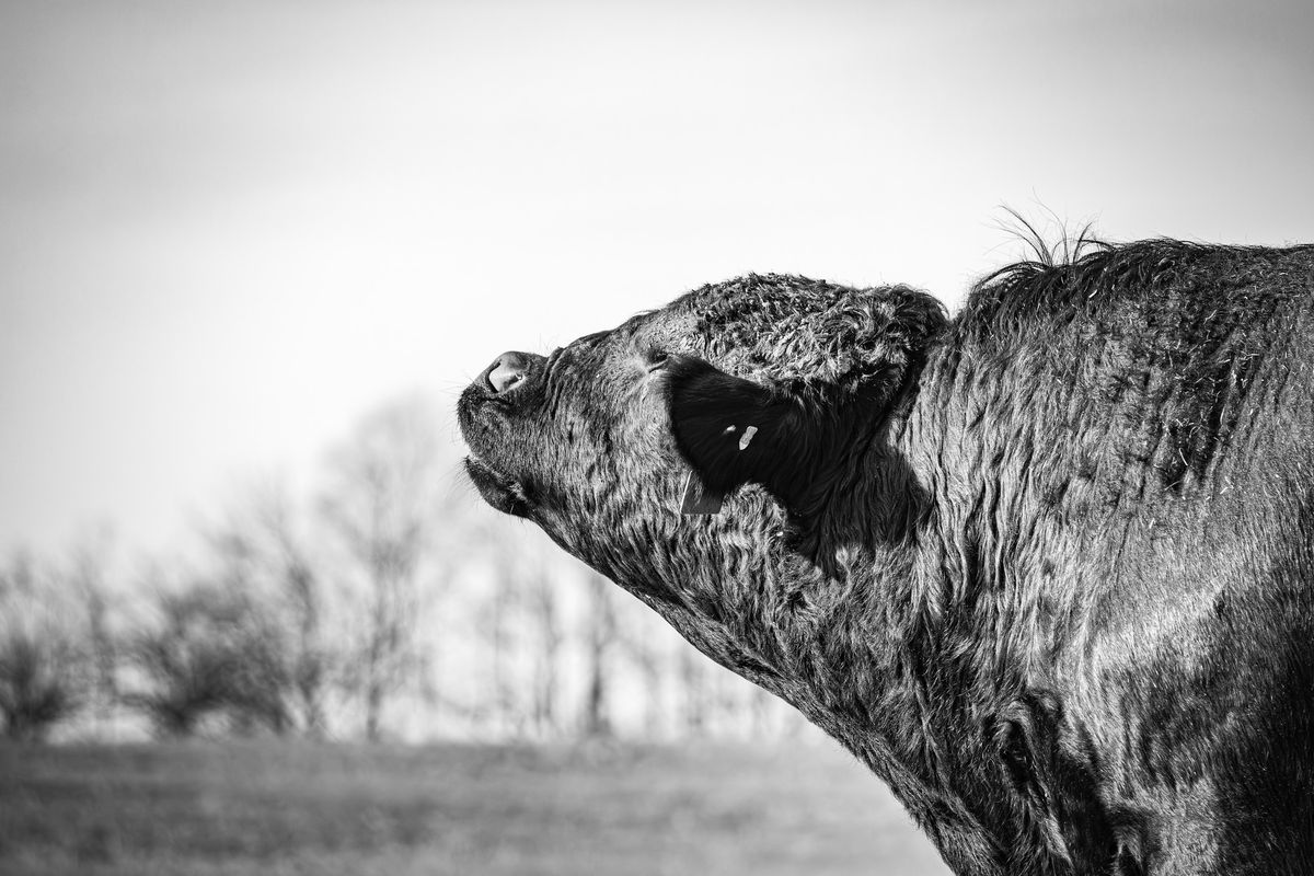 Callaway Difference Producers' Tour  |  Red Cloud, NE