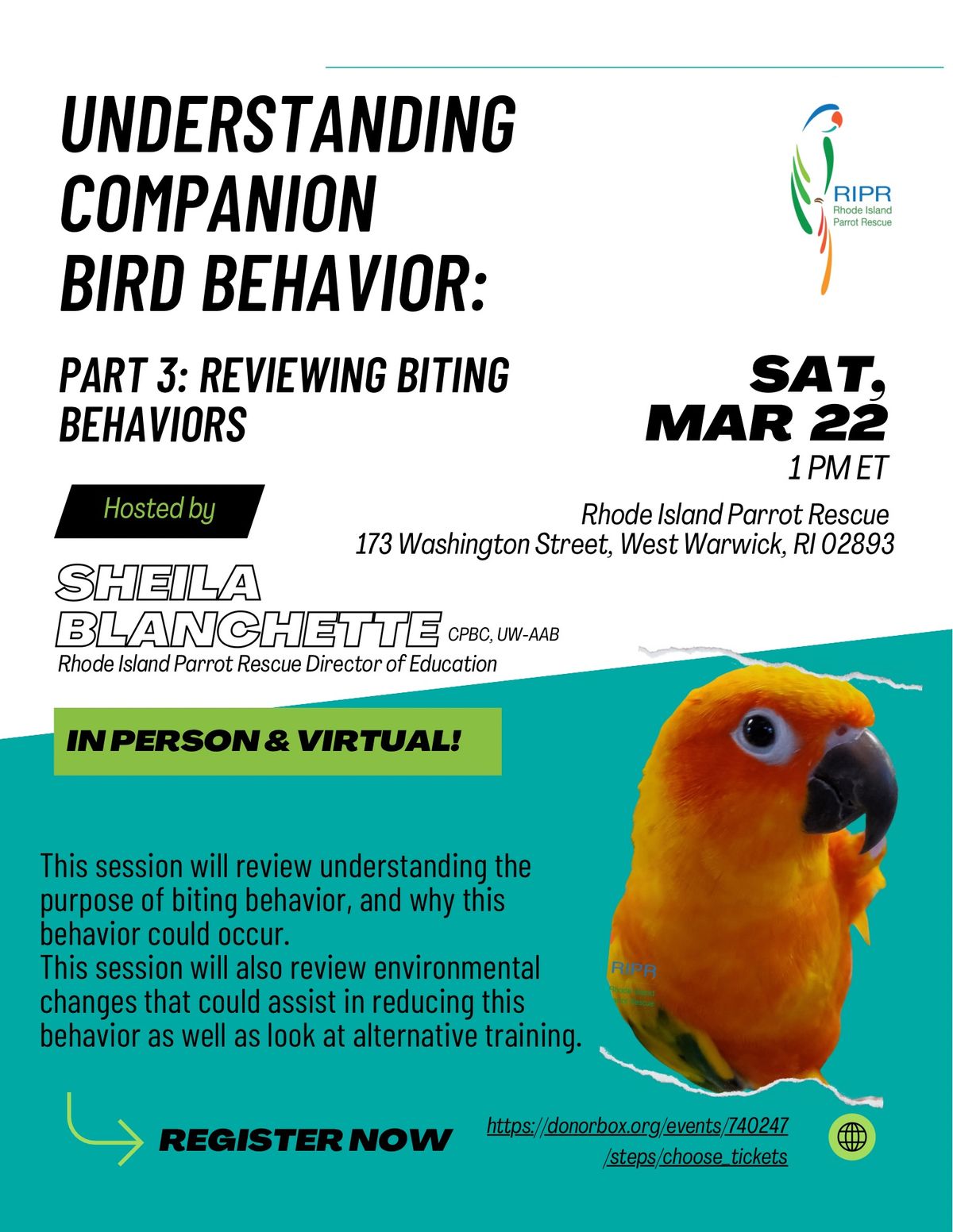 Reviewing Biting Behavior (Part 3 of 4) Understanding Companion Birds Series 