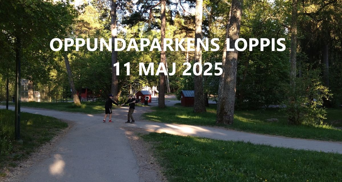 Oppundaparkens loppis i Svedmyra 11 maj 2025