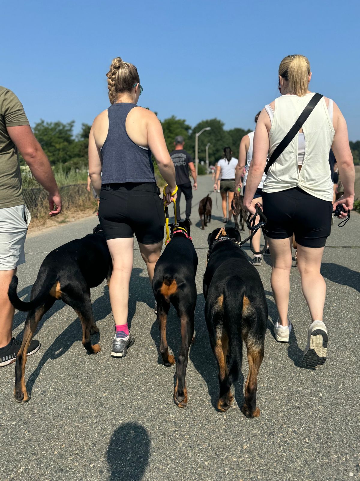 September Pack Walk!