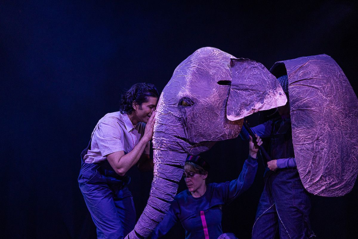 The Vanishing Elephant (Theater)