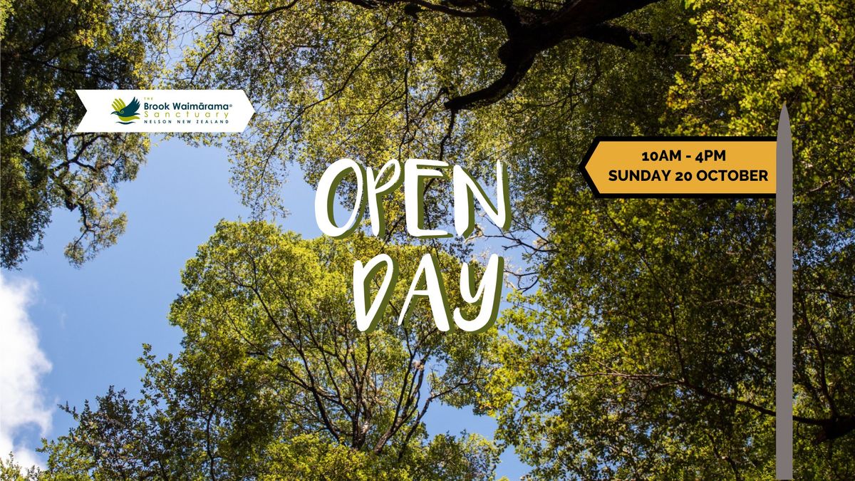 Open Day