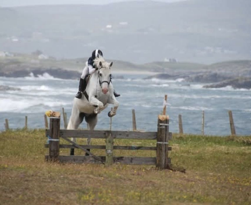 WORKING HUNTER CLINIC 