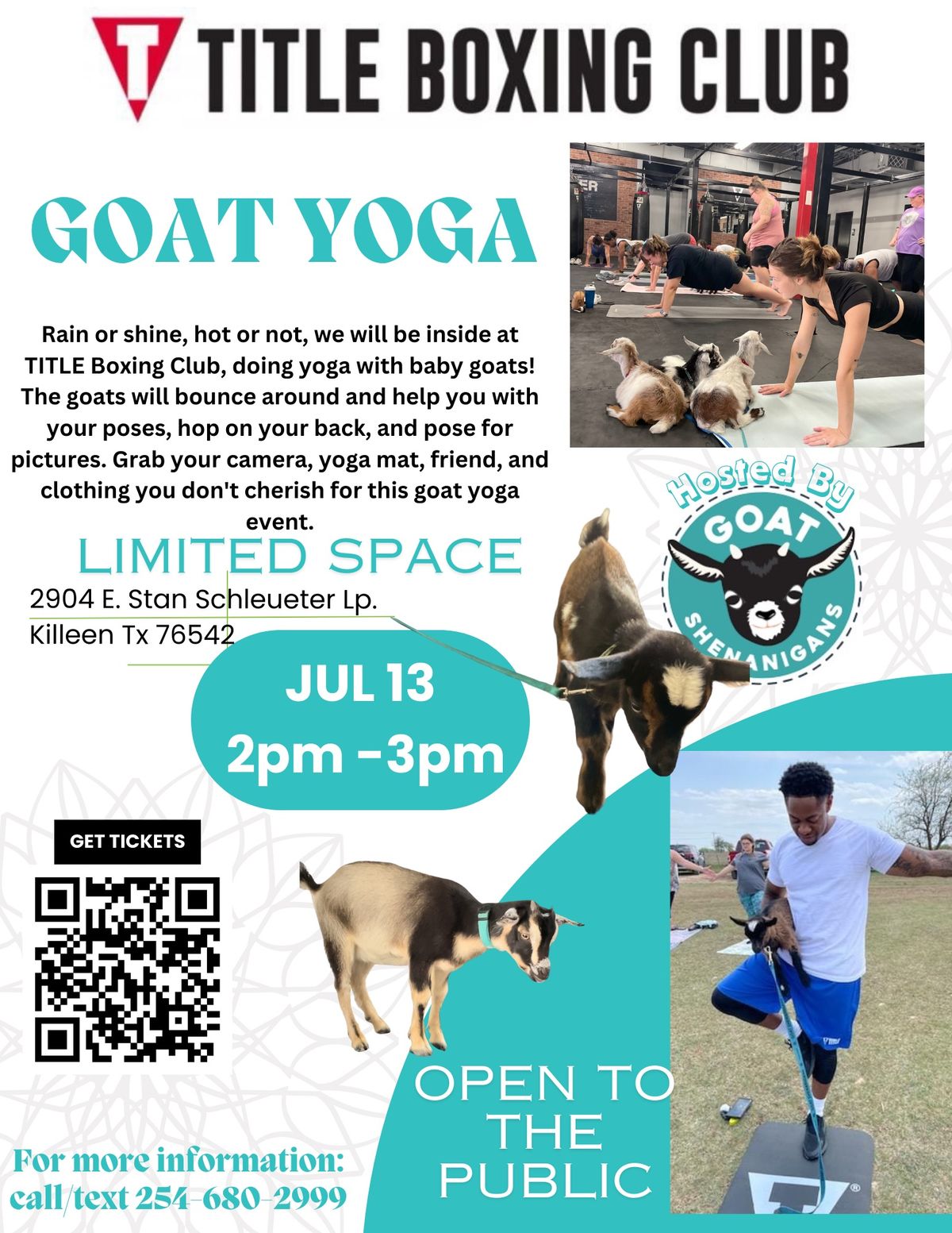 Goat Yoga at TITLE Boxing Club 