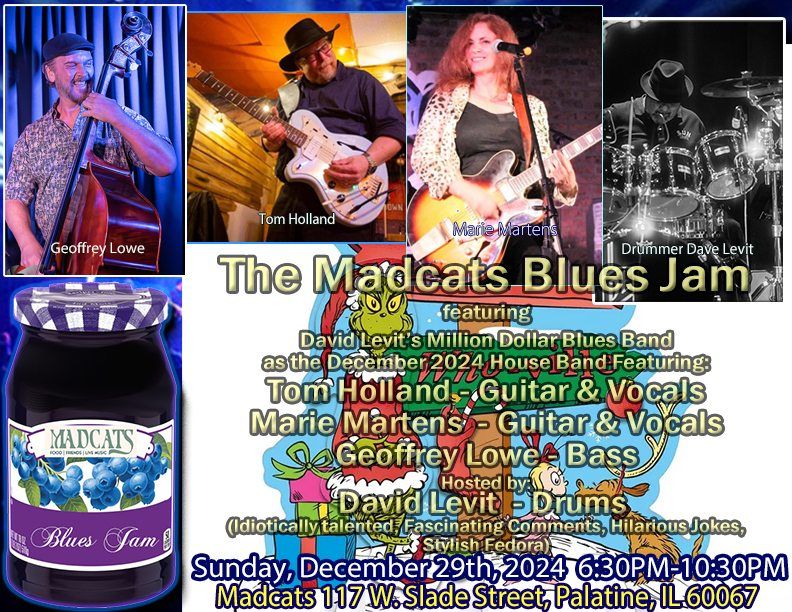 The Madcats Blues Jam ft. Tom Holland, Marie Martens, Geoffrey Lowe, and David Levit