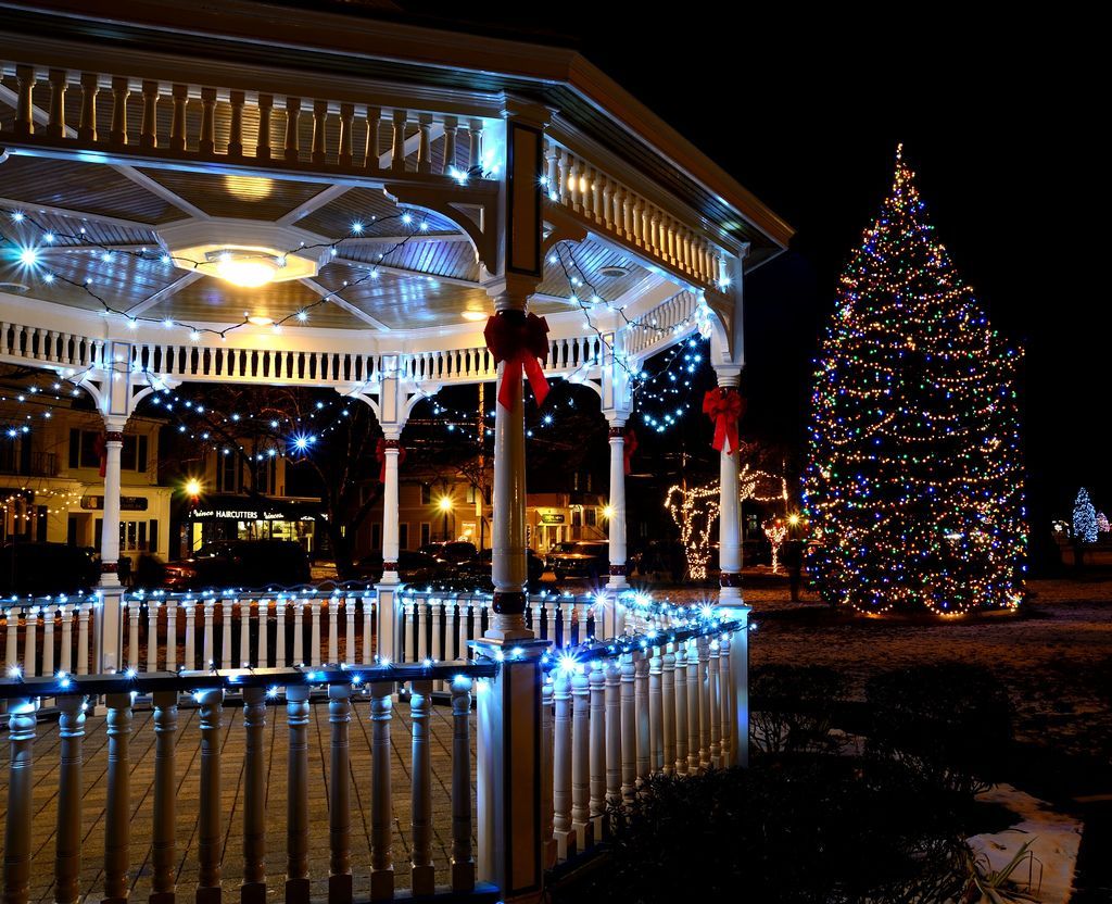 Milford Tree Lighting