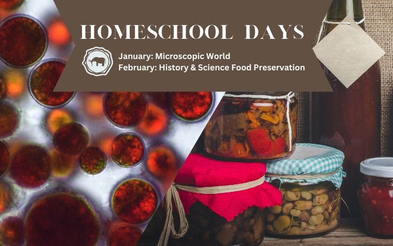 Homeschool Days February:  The History and Science of Food Preservation