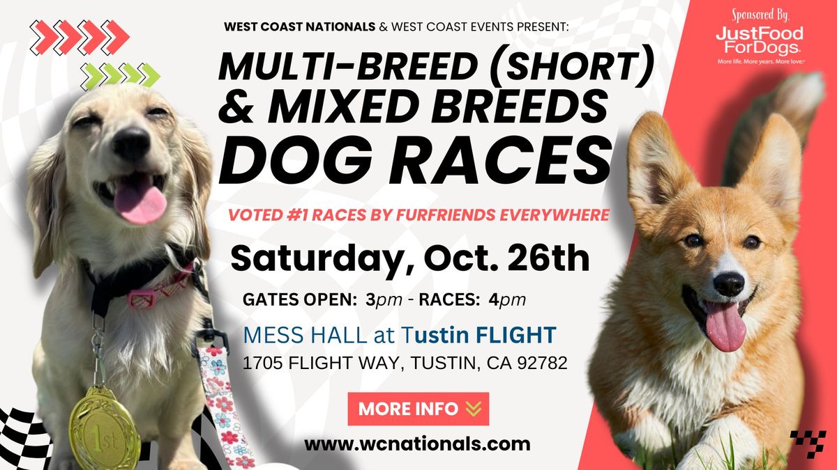 Multi-Breed (short) & Mixed-Breeds Dog Races | WC Nationals | Tustin