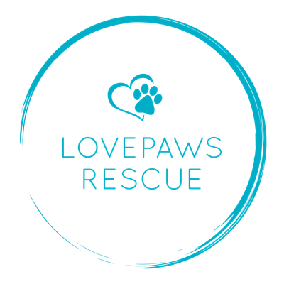 LOVEPAWS