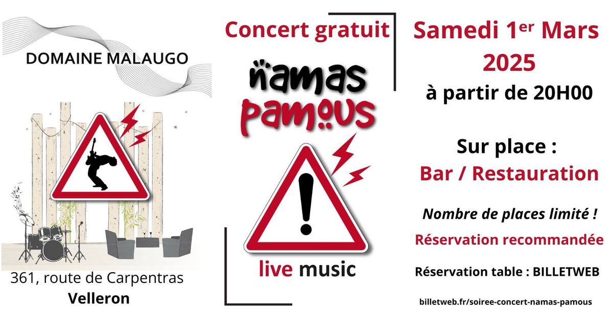 Soir\u00e9e Concert Namas Pamous