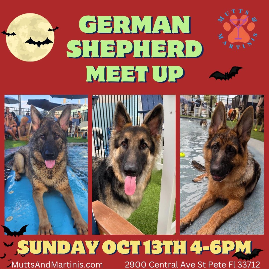 German Shepherd Meet Up at Mutts & Martinis