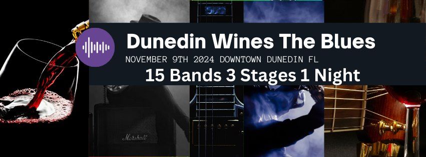 Damon Fowler - Dunedin Wines the Blues, Dunedin, FL - Free Event!