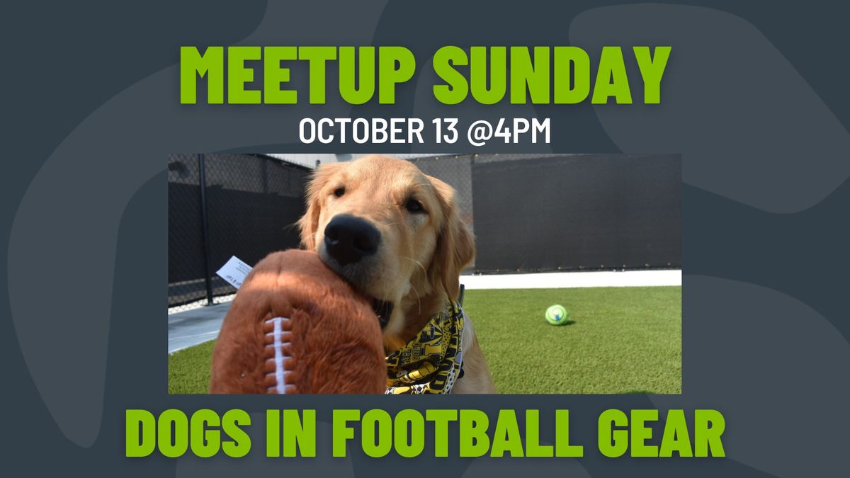 Meetup Sunday: Dogs in Football Gear