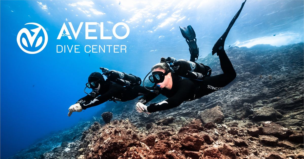 Avelo Tour Visits Dive World Austin 