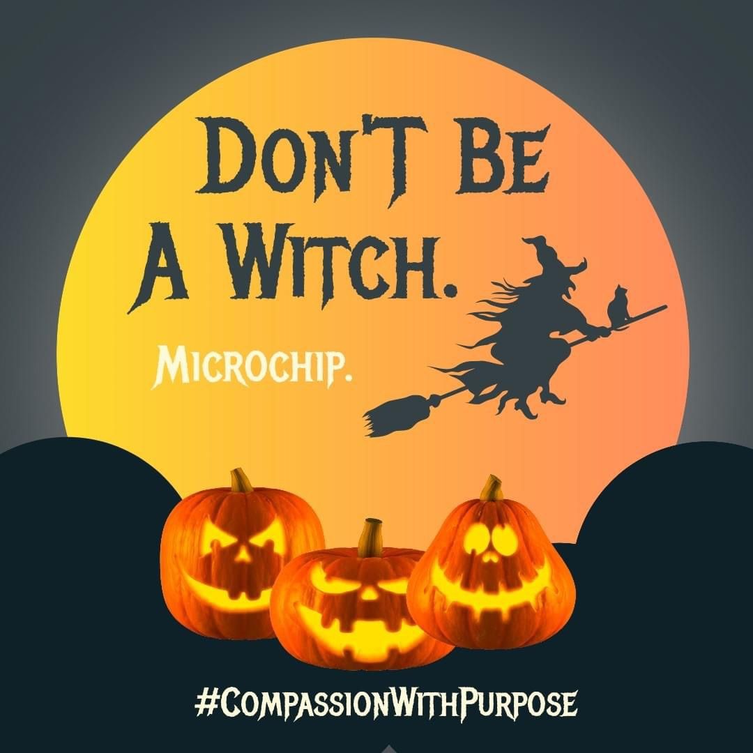 Trick-or-Chip: Free Microchip Clinic