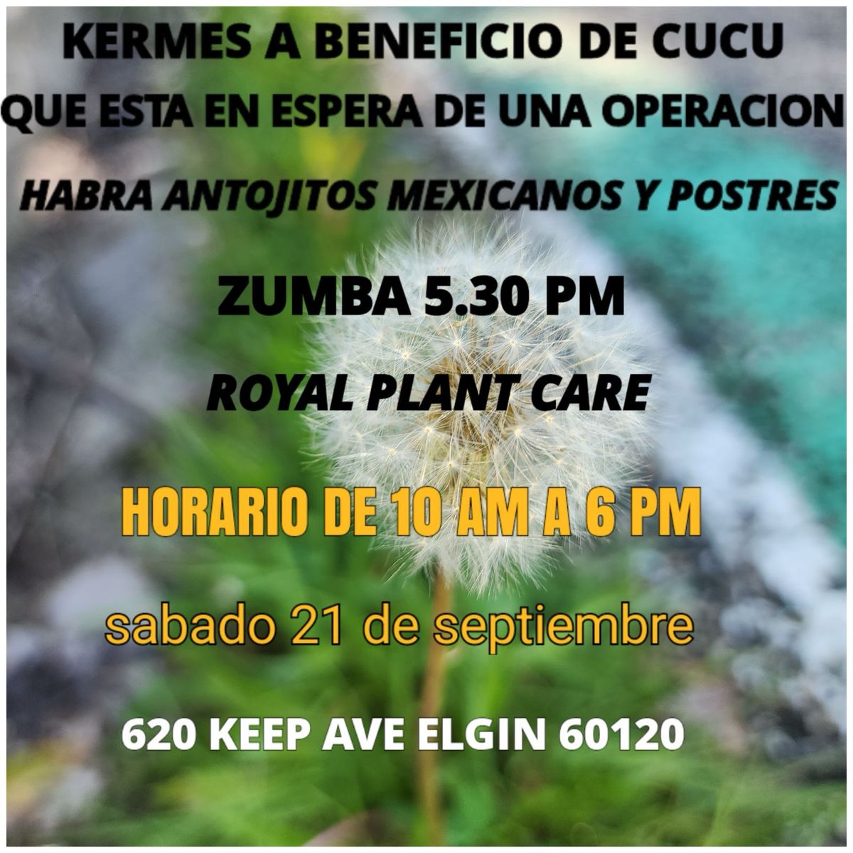 Cucu Kerm\u00e9s - Recaudaci\u00f3n de Fondos (Fundraising)