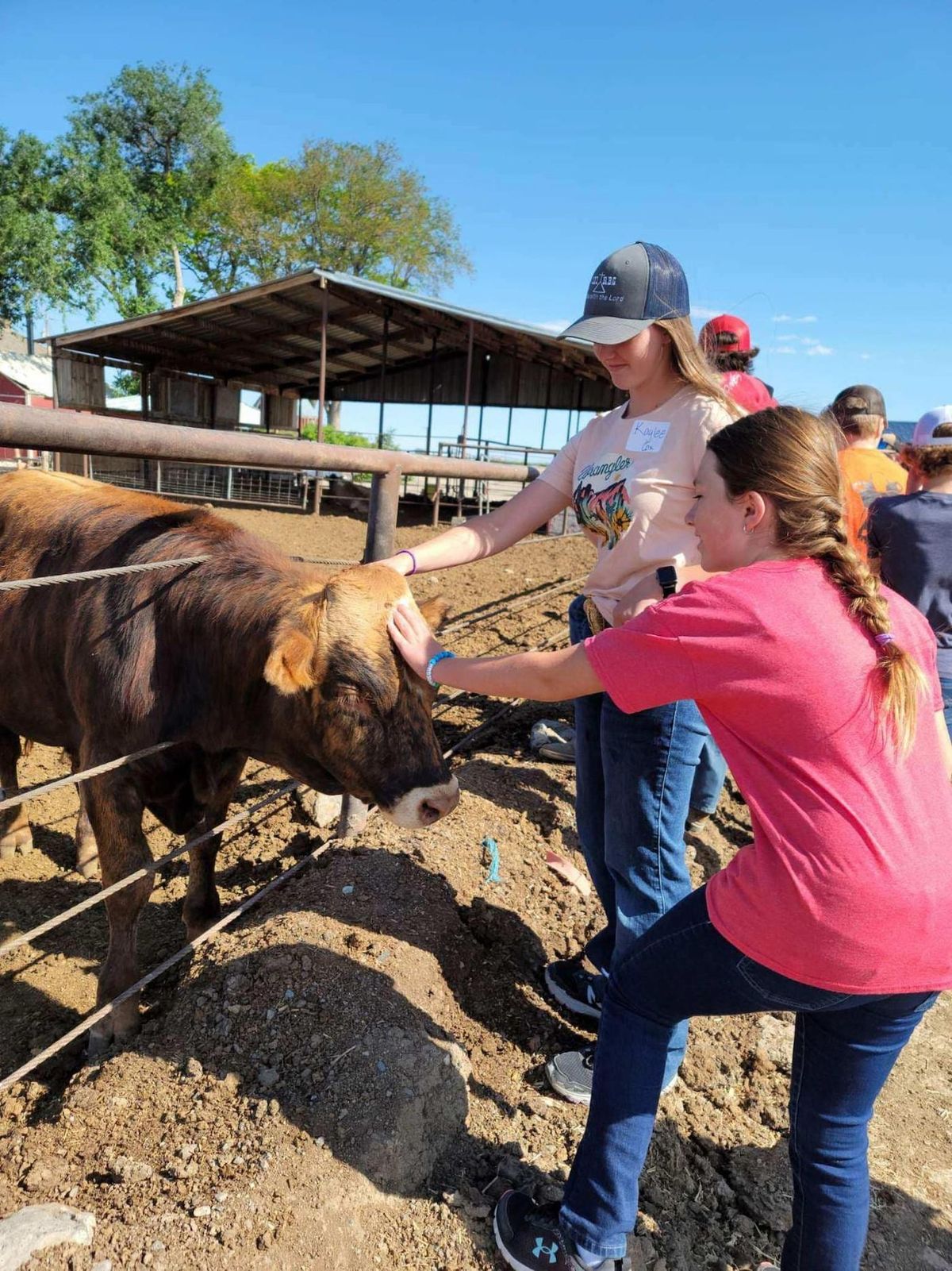 Summer Ag Youth Career Academy