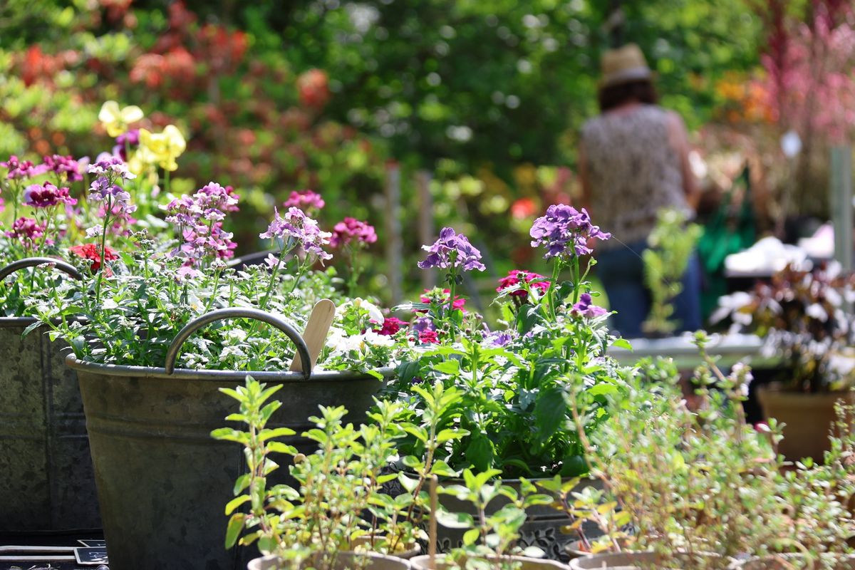 Specialist Spring Plant Fair