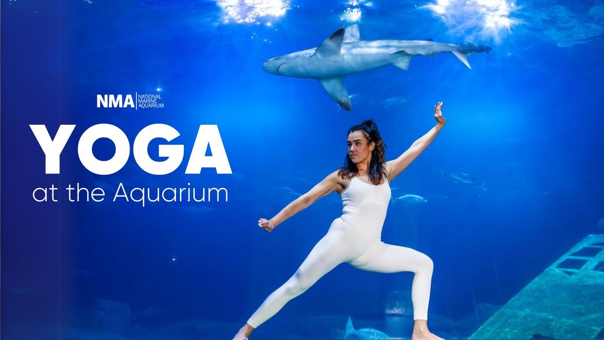 Budokon Yoga at the Aquarium