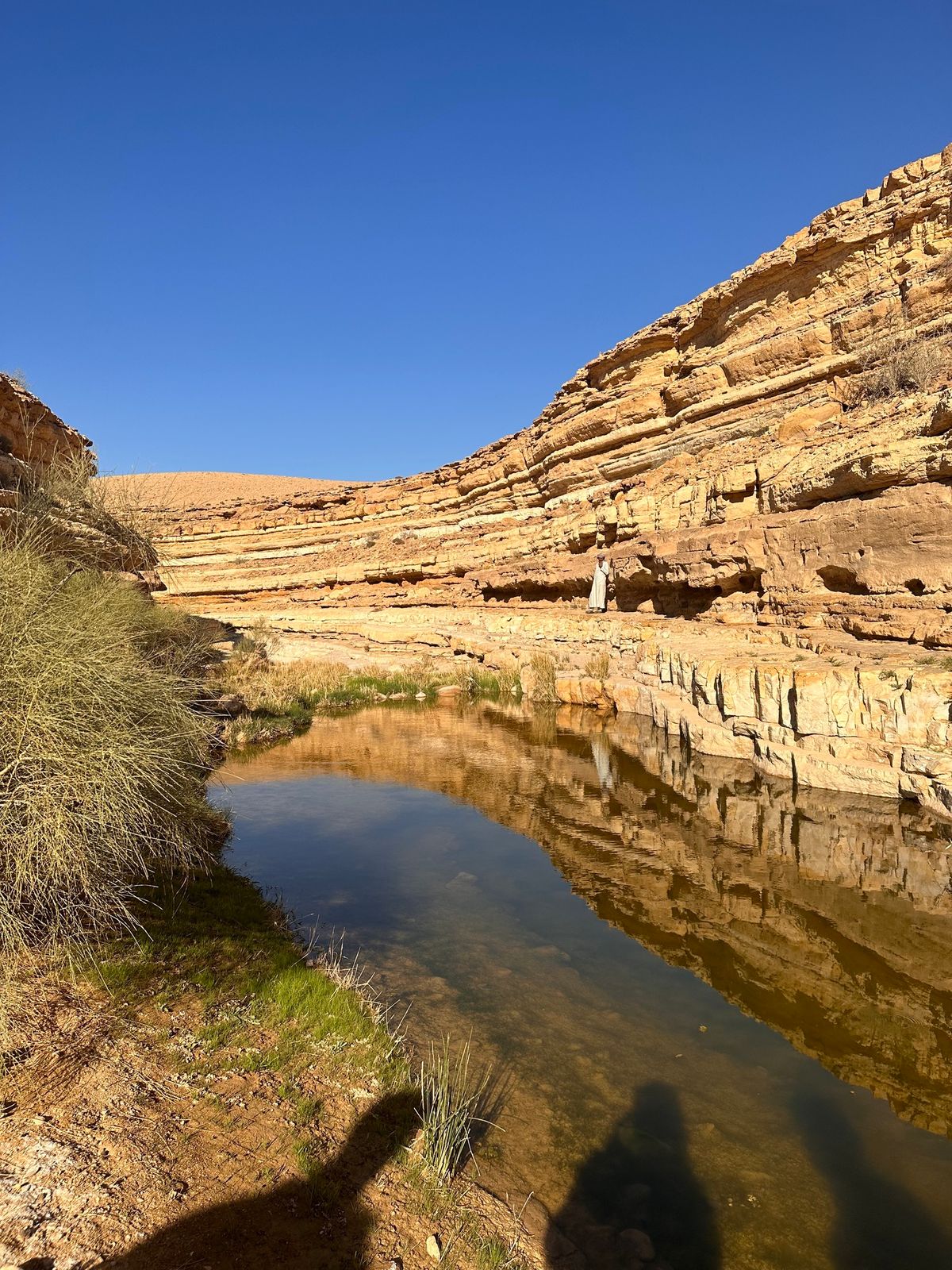 Al Tih Plateau 