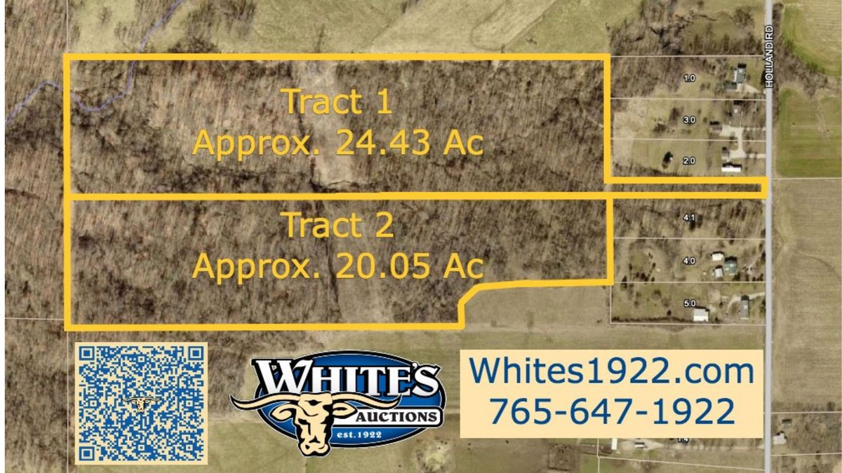 Gillespie Auction - 44.5 Ac wooded vacatn ground offered in 2 tracts