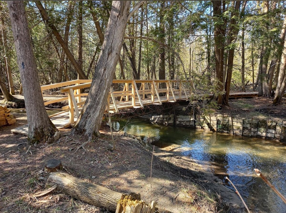 Mindfulness Walk at Naftel's Creek Conservation Area