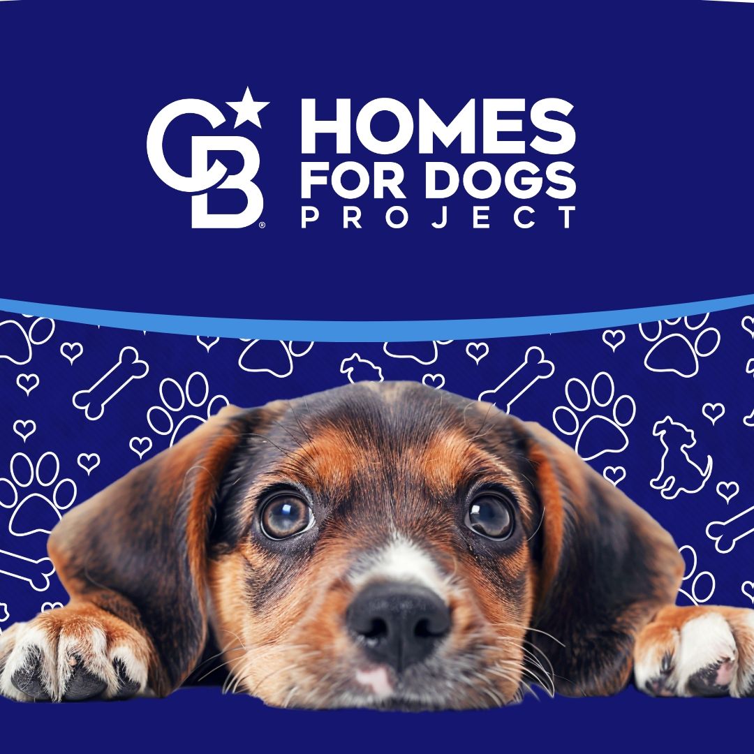 Homes For Dogs pet Adoption