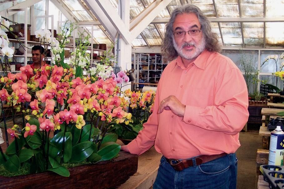 George Vazquez of Zuma Orchids Presents "Thoughts on today's AOS judging of Phalaenopsis