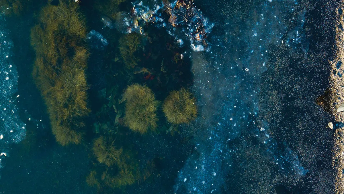 Julianna Barwick, Mary Lattimore in San Francisco